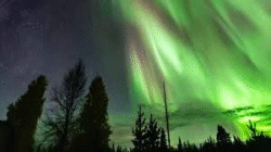 Destinasi Winter Tromsø: Aurora Borealis dan Alam Norwegia