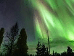 Destinasi Winter Tromsø: Aurora Borealis dan Alam Norwegia