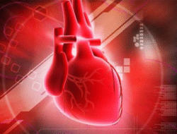 Vitamin D dan Pencegahan Serangan Jantung