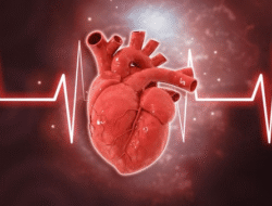 Vitamin D Dapat Kurangi Risiko Serangan Jantung